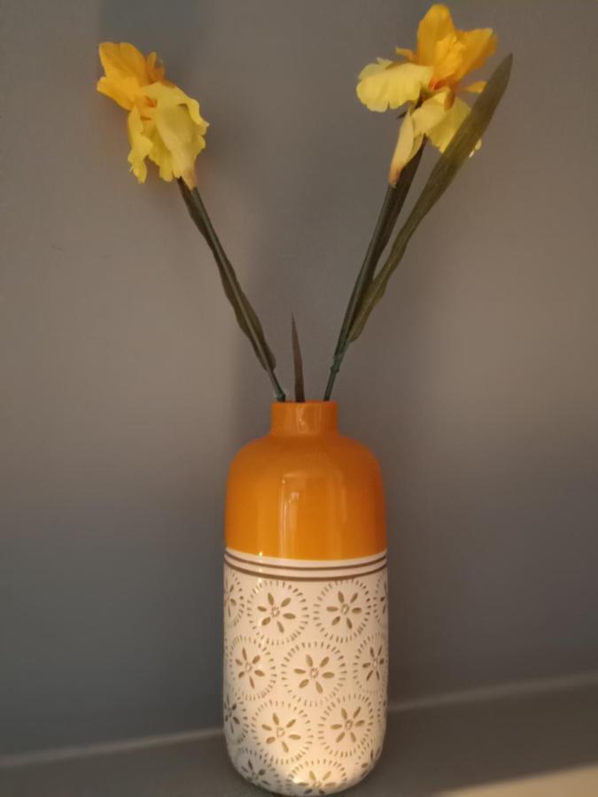 Narciso Boutique Apartment 아치레알레 외부 사진